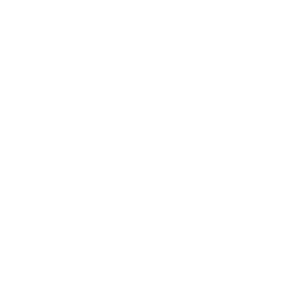 VOYAGE_logo_white