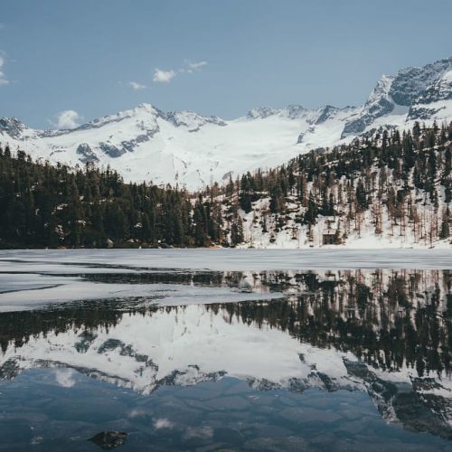 austria austria